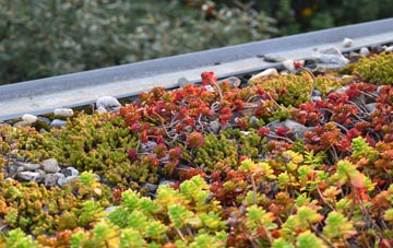 the cost of Tregonetha green roof installation