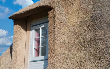 Tregonetha thatch roof disadvantages