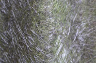 Tregonetha fibreglass roof work